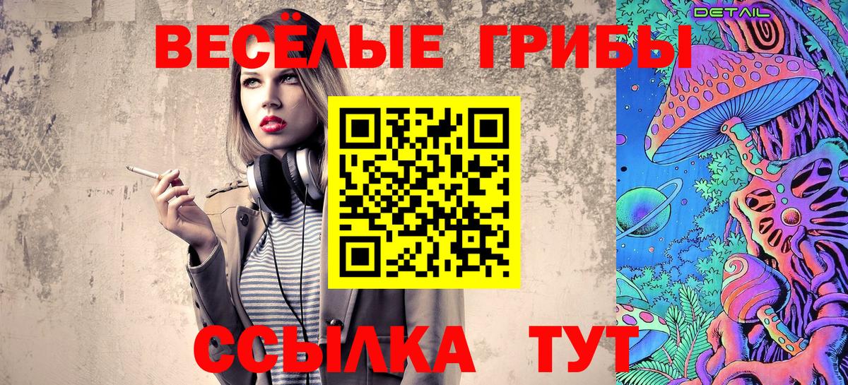Губкинский  Псилоцибиновые грибы Psilocybe  Вход с VPN 
