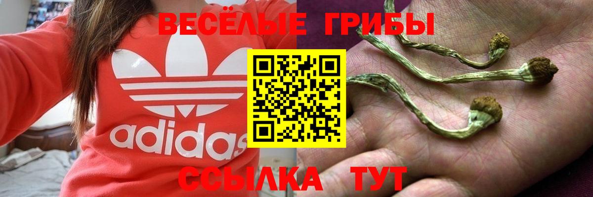 Меф мяу мяу Губкинский